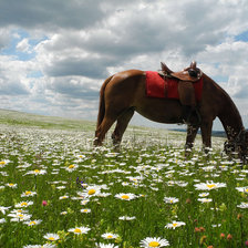 Cross stitch pattern: #2939853