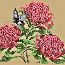 Cross stitch pattern: #2939890