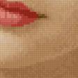 Preview of cross stitch pattern: #2939937