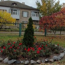 Cross stitch pattern: #2940026