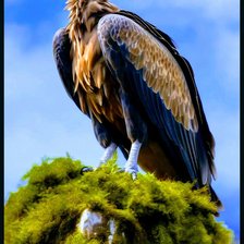 Cross stitch pattern: #2940134