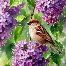 Cross stitch pattern: #2940454