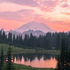 Cross stitch pattern: #2941170