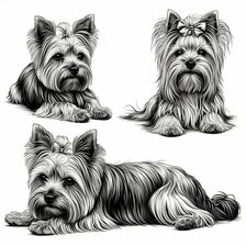 Cross stitch pattern: #2941270