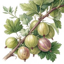 Cross stitch pattern: #2941382