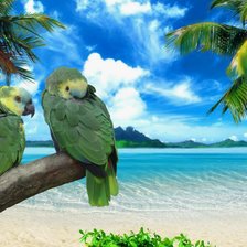 Cross stitch pattern: #2941654