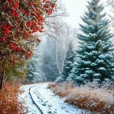 Cross stitch pattern: #2941753