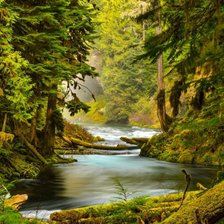 Cross stitch pattern: #2942252