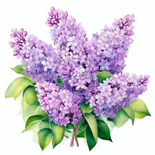 Cross stitch pattern: #2942316