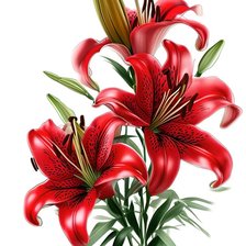 Cross stitch pattern: #2943146