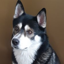 Cross stitch pattern: #2943418