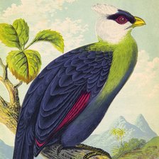 Cross stitch pattern: #2943794