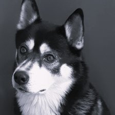 Cross stitch pattern: #2944157