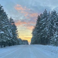 Cross stitch pattern: #2944453