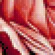 Preview of cross stitch pattern: #2944883