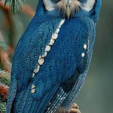 Cross stitch pattern: #2945343