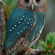 Cross stitch pattern: #2945344