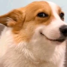 Cross stitch pattern: #2945965