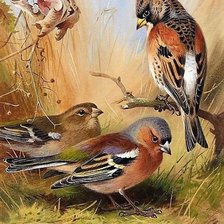 Cross stitch pattern: #2946247