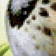 Preview of cross stitch pattern: #2946336