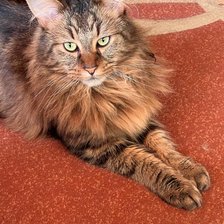 Cross stitch pattern: #2946654