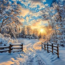 Cross stitch pattern: #2946897