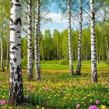 Cross stitch pattern: #2946927