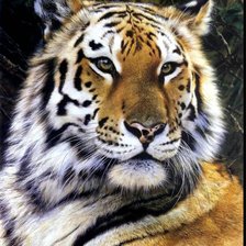 Cross stitch pattern: #2947042