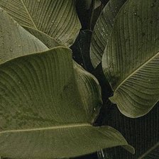 Cross stitch pattern: #2947776