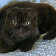 Cross stitch pattern: #2947833