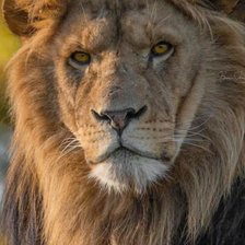 Cross stitch pattern: #2948027