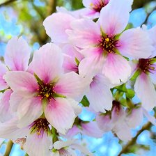 Cross stitch pattern: #2948044