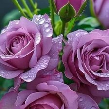 Cross stitch pattern: #2948578