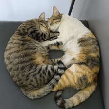 Cross stitch pattern: #2948628