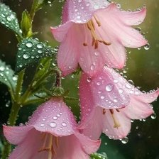 Cross stitch pattern: #2948693