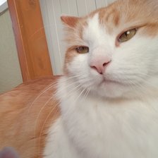 Cross stitch pattern: #2948704