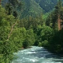 Cross stitch pattern: #2948976