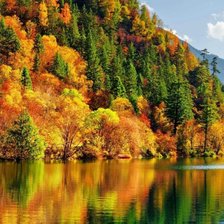 Cross stitch pattern: #2949427