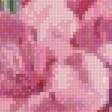 Preview of cross stitch pattern: #2949921
