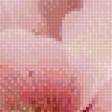 Preview of cross stitch pattern: #2950071