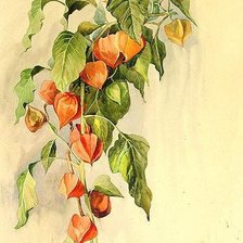 Cross stitch pattern: #2950112