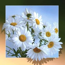 Cross stitch pattern: #2950321