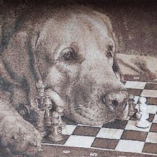 Cross stitch pattern: #2950329