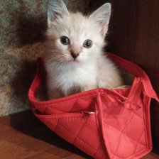 Cross stitch pattern: #2950727