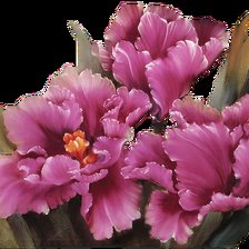 Cross stitch pattern: #2950797