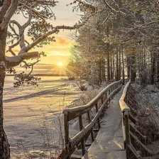 Cross stitch pattern: #2950878