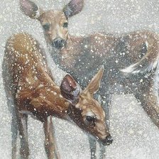 Cross stitch pattern: #2951173