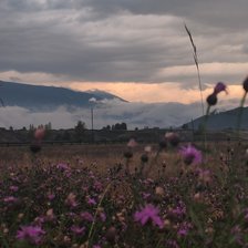 Cross stitch pattern: #2951195