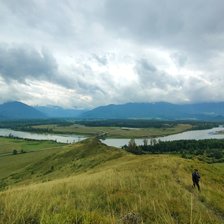 Cross stitch pattern: #2951198