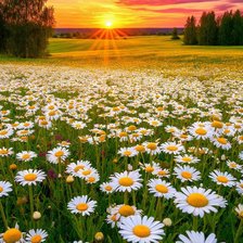 Cross stitch pattern: #2951305